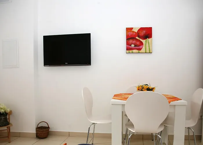 베이직 * 스플리트